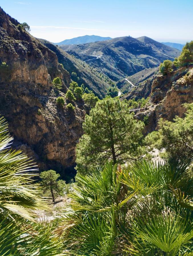 Casa Jardin Natural Sedella エクステリア 写真