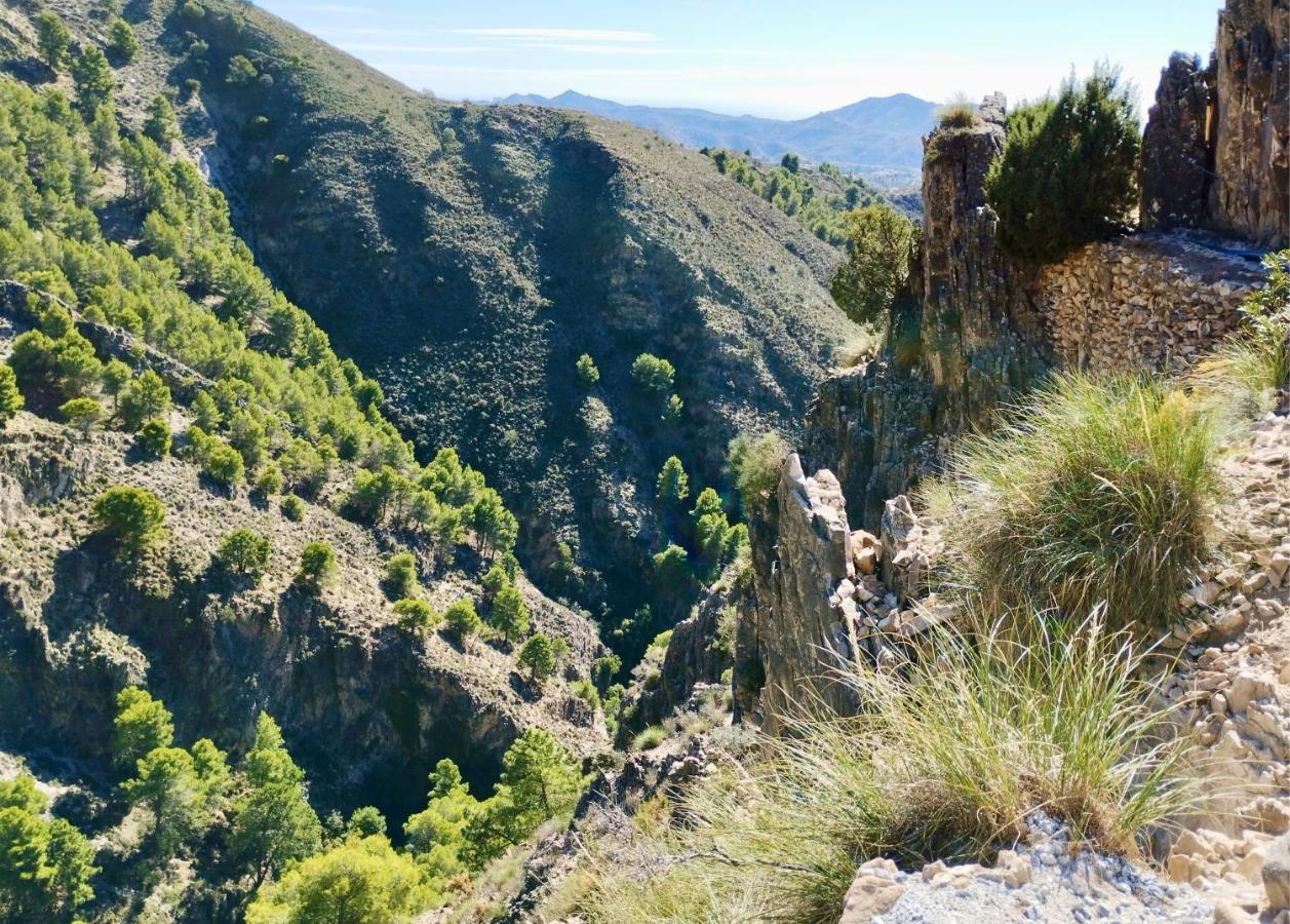 Casa Jardin Natural Sedella エクステリア 写真
