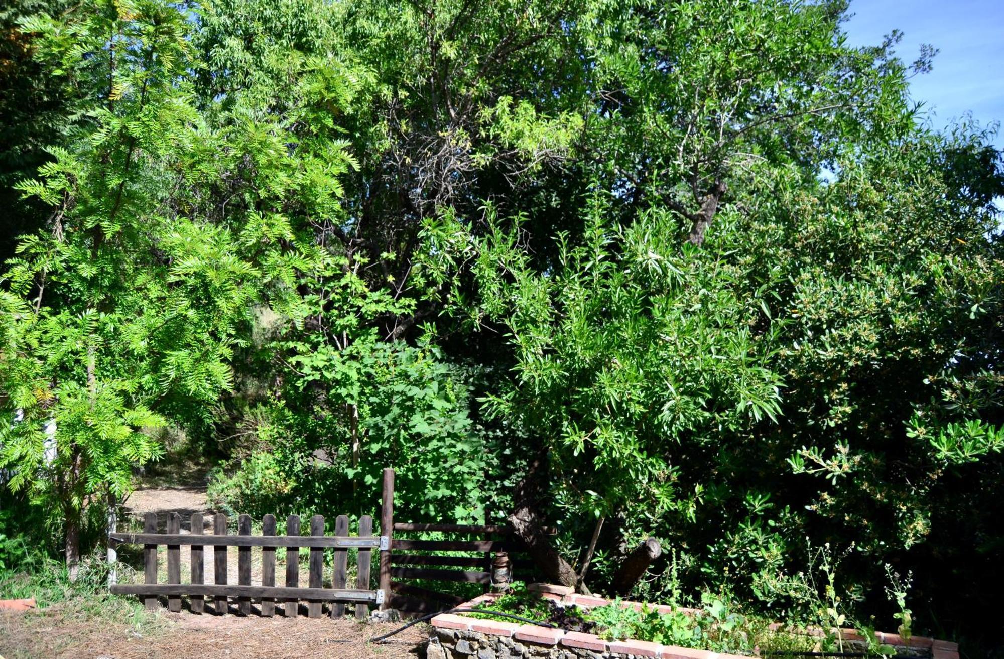 Casa Jardin Natural Sedella エクステリア 写真